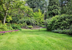 Optimiser l'expérience du jardin à Sauvigney-les-Pesmes